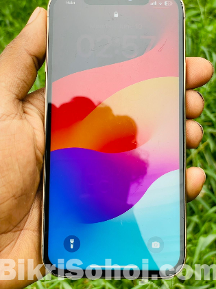 Iphone 12 Pro